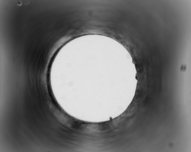 X0000103450104200810241154