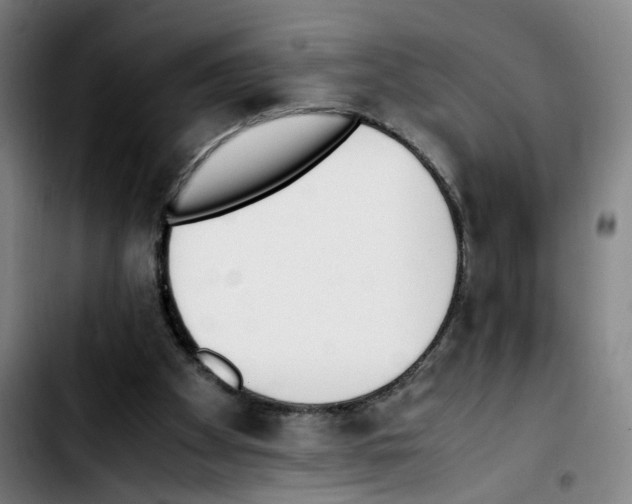 X0000103450105200810241154