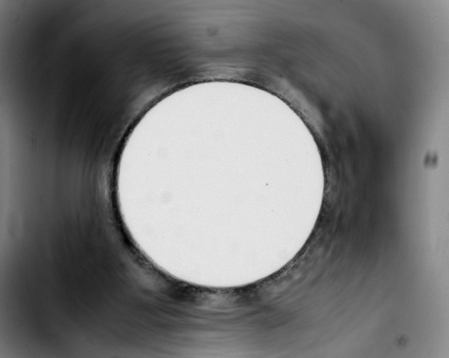 X0000103450107200810241154