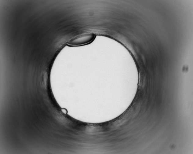 X0000103450109200810241154