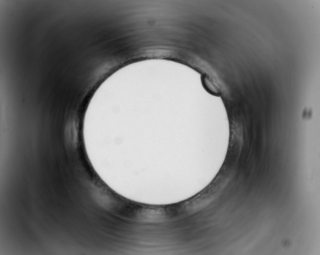 X0000103450110200810241154