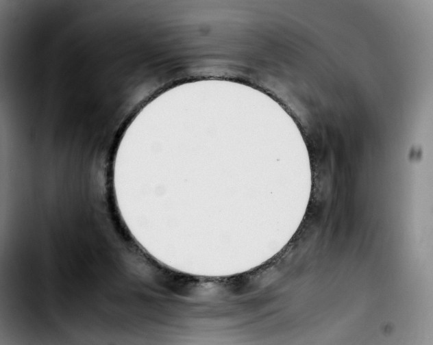 X0000103450111200810241154