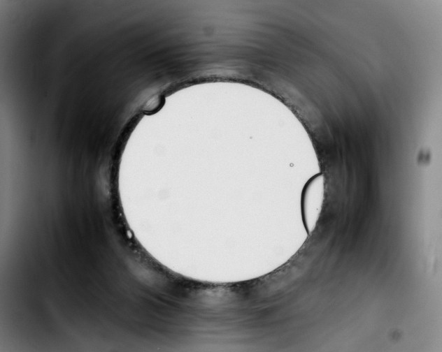 X0000103450112200810241154