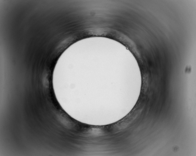 X0000103450114200810241154