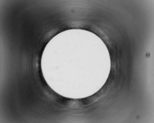 X0000103450115200810241154