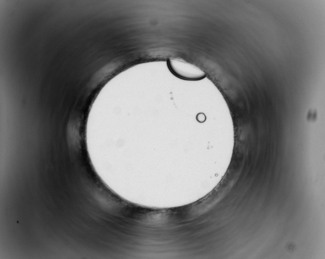 X0000103450116200810241154