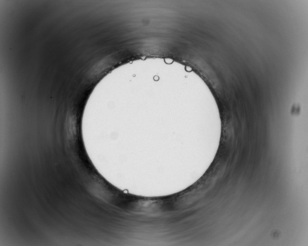 X0000103450117200810241154