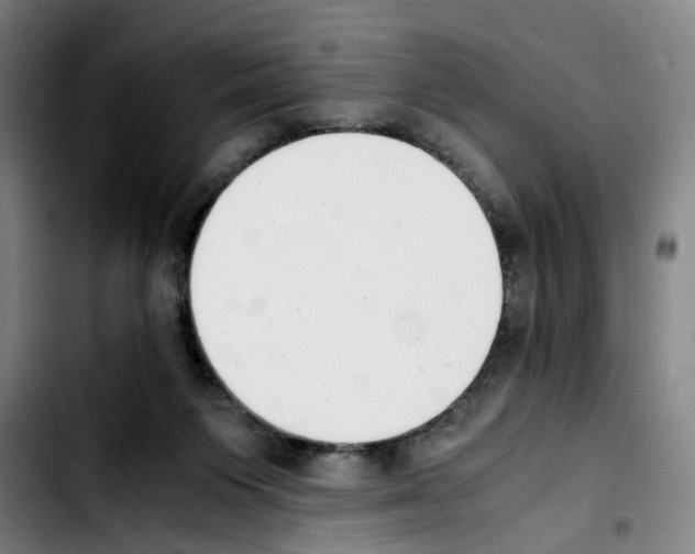 X0000103450119200810241154