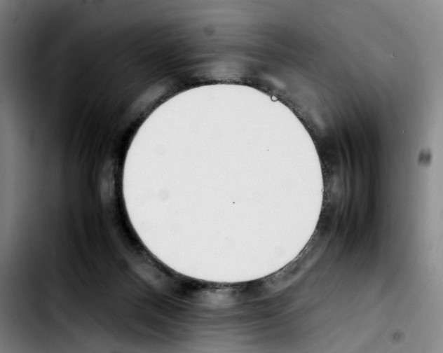 X0000103450120200810241154