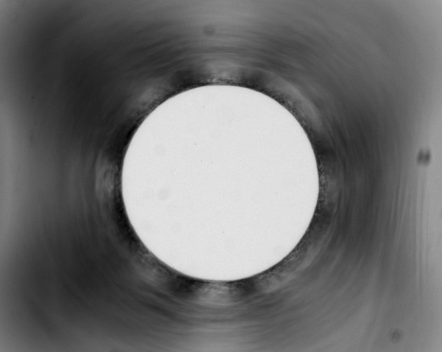 X0000103450123200810241154