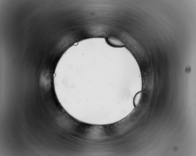 X0000103450124200810241154