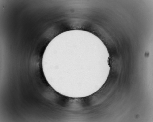 X0000103450125200810241154