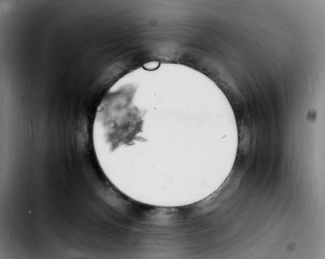 X0000103450128200810241154