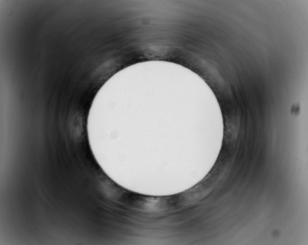 X0000103450130200810241154