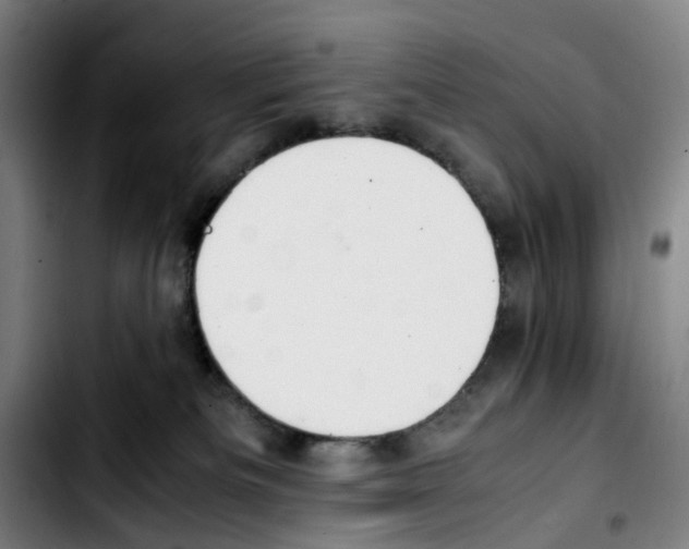 X0000103450133200810241154