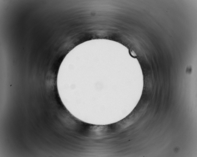 X0000103450135200810241154