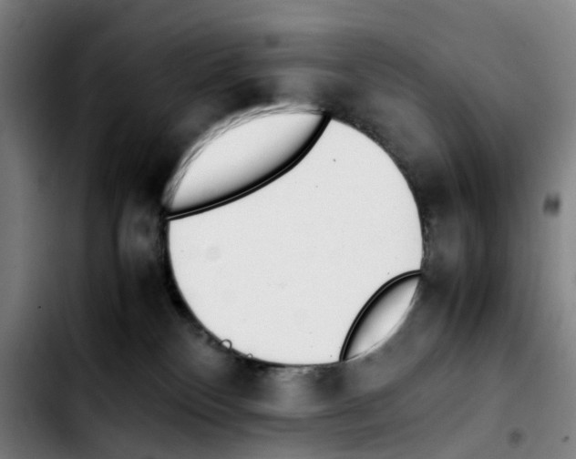 X0000103450136200810241154