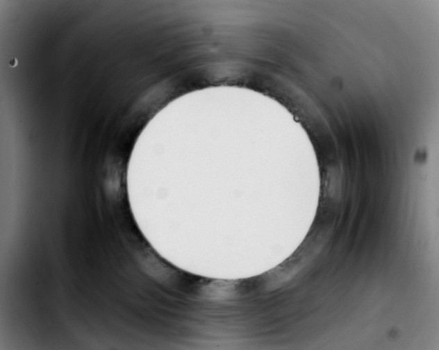 X0000103450138200810241154