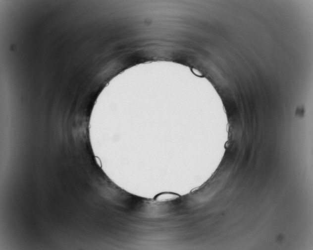 X0000103450141200810241154