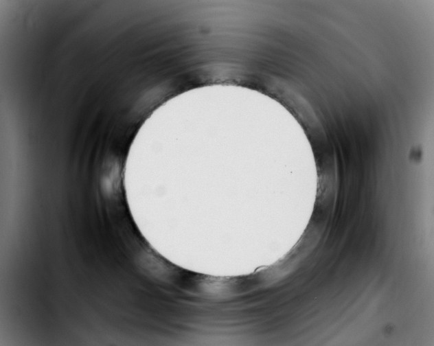 X0000103450142200810241154