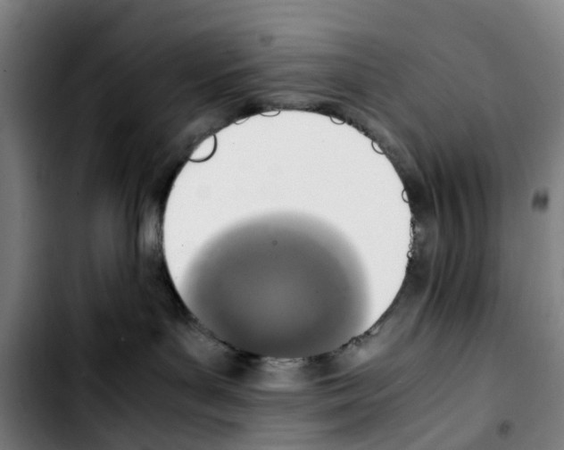 X0000103450143200810241154