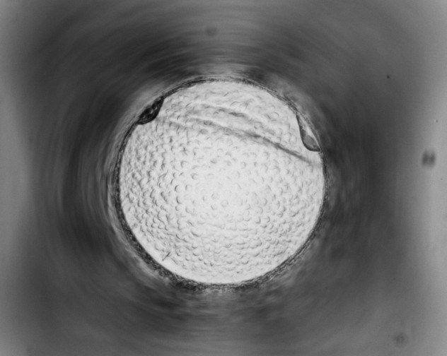 X0000103450145200810241153