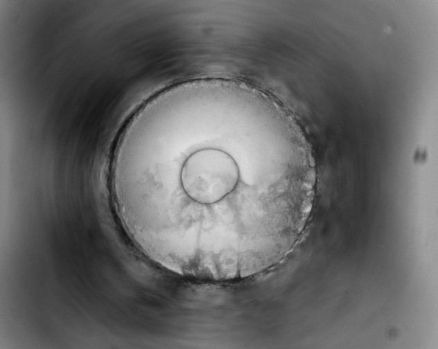 X0000103450146200810241153