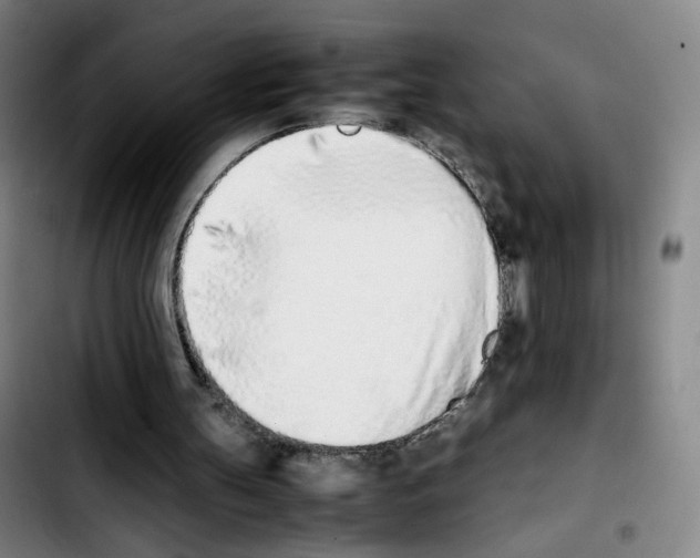 X0000103450147200810241153