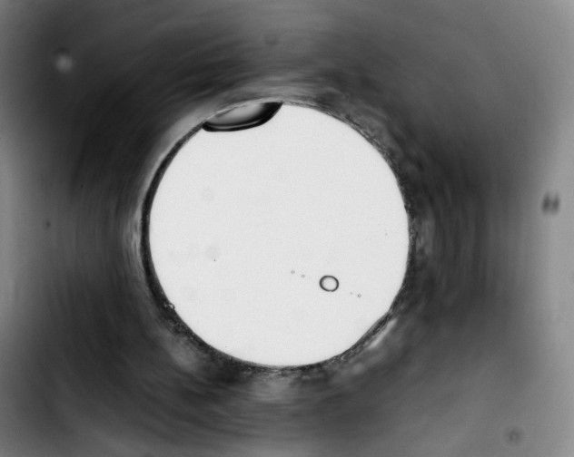 X0000103450148200810241153