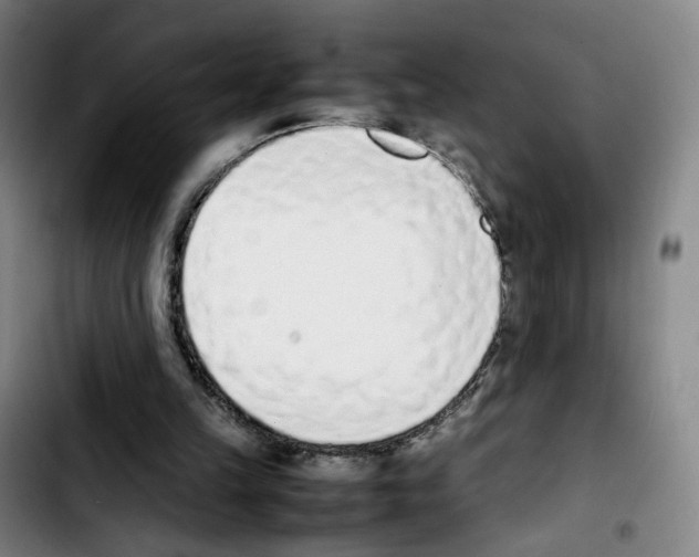 X0000103450149200810241153