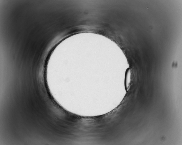 X0000103450150200810241153