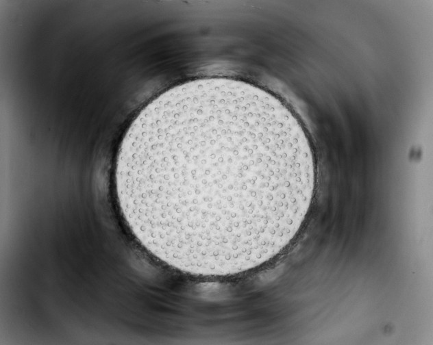 X0000103450153200810241153