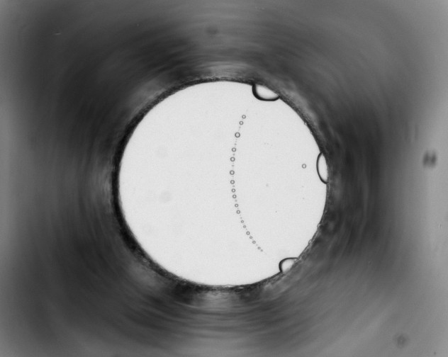 X0000103450154200810241153