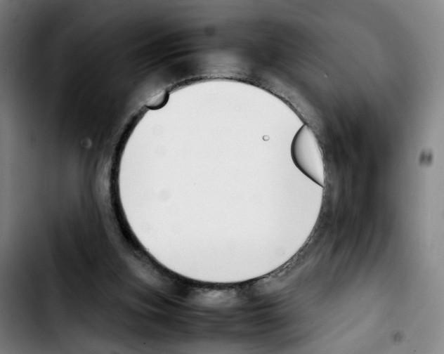 X0000103450155200810241153