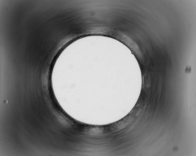 X0000103450156200810241153