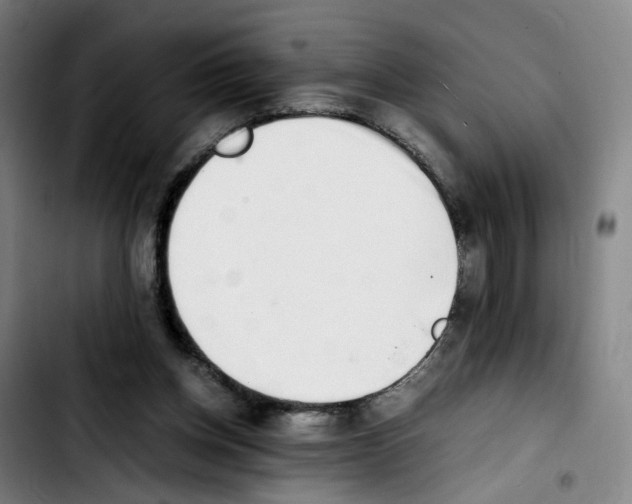 X0000103450158200810241153