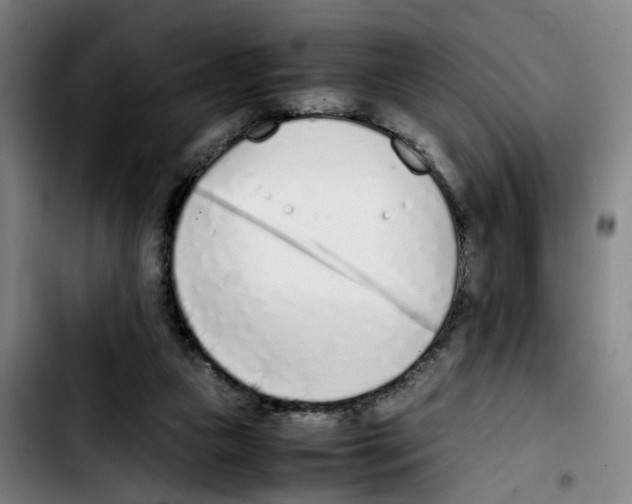 X0000103450161200810241153