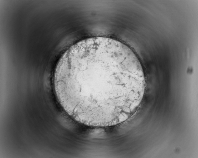 X0000103450162200810241153