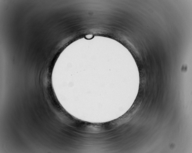 X0000103450164200810241153