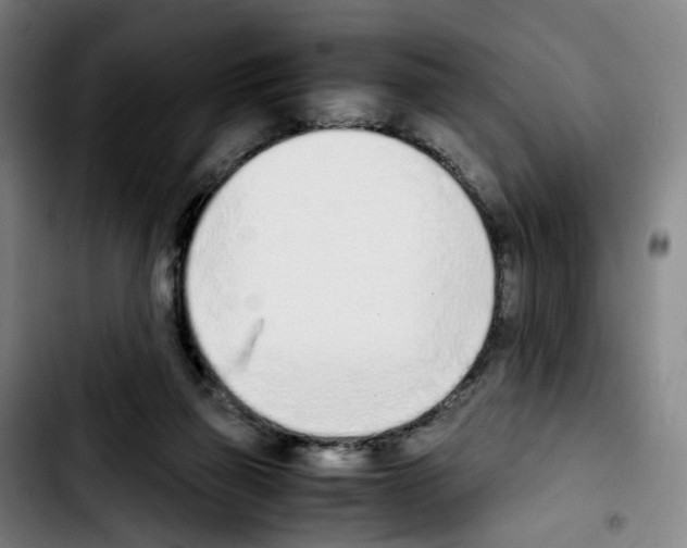 X0000103450165200810241153