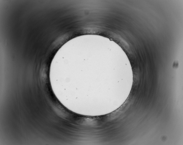 X0000103450166200810241153