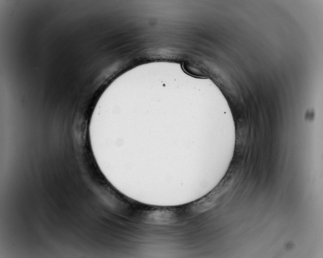 X0000103450168200810241153