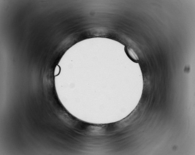 X0000103450170200810241153