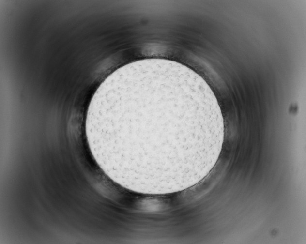 X0000103450171200810241153