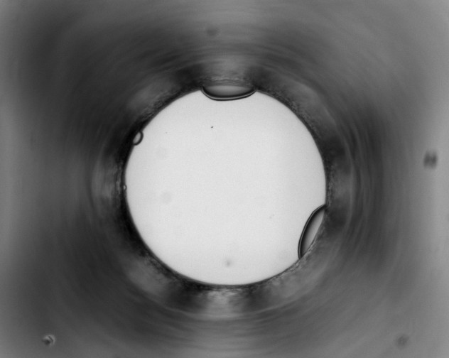 X0000103450172200810241153