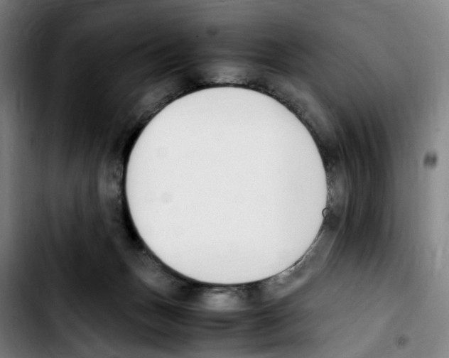 X0000103450175200810241153