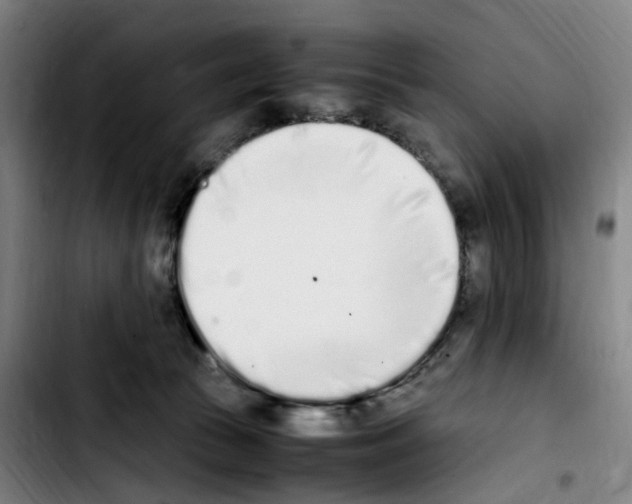 X0000103450177200810241153