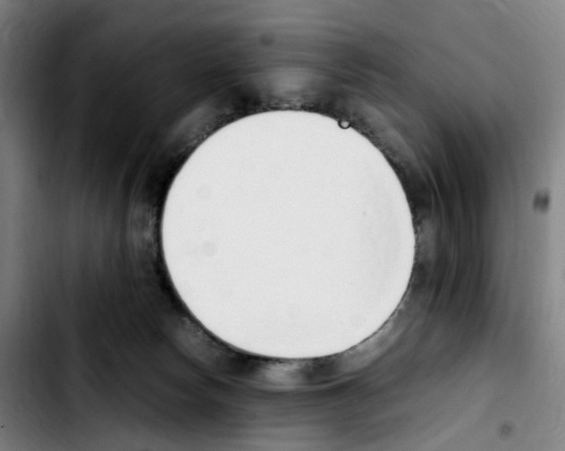 X0000103450178200810241153