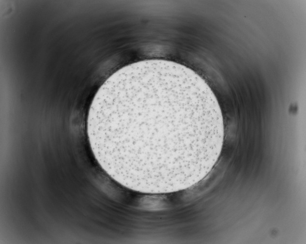 X0000103450179200810241153