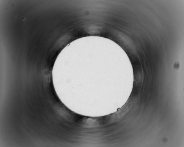 X0000103450180200810241153